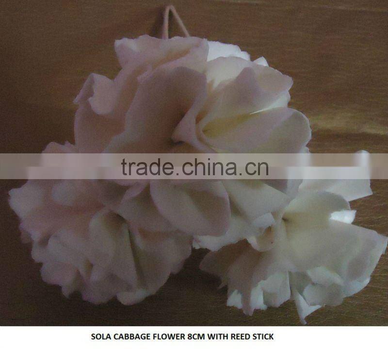 sola cabbage flower