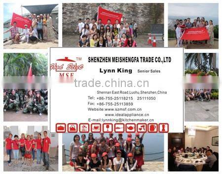 Professional golden shirt Steam Iron