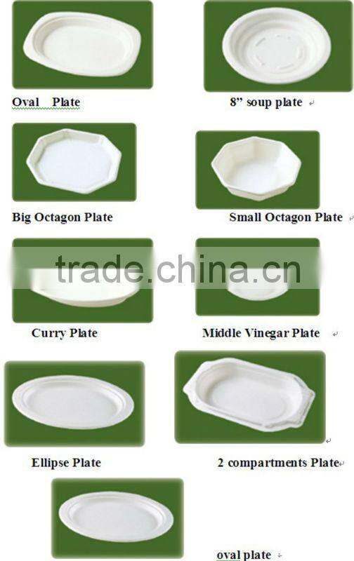 a Biodegradable Disposable Sugarcane Bagasse Ellipse Plate