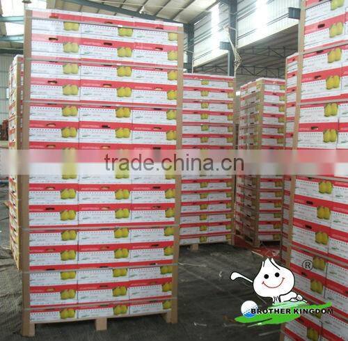 China pomelo low price