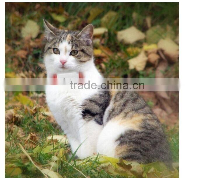 Mini Multi-Functional GSM GPS Tracker - Portable Outdoor Personal GPS Locator/Security Real Time Tracking/SOS Tracking Device