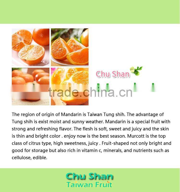 Grade A fresh mandarin orange citrus fruit