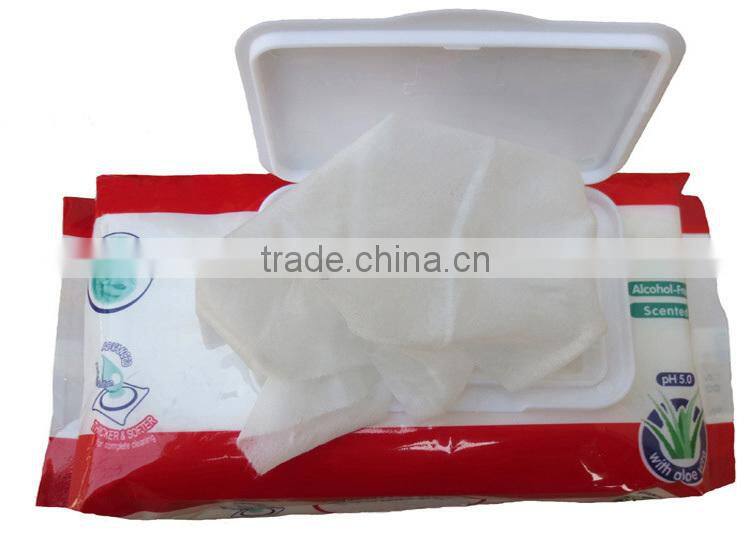 High Quality Hand and Mouth Cleaning Baby Wipe with Plastic Case