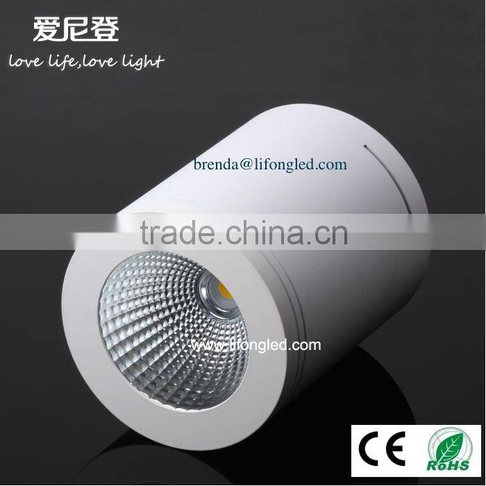 commercial light china manufactory supply 40W COB LED Surface Mounted Downlight