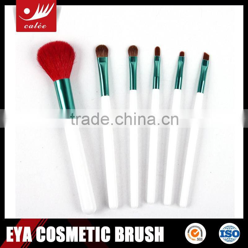 6pcs high quality travel makeup brushes