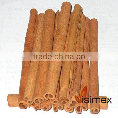 Finger Cassia (Cigarette cassia/ Cassia Verra)