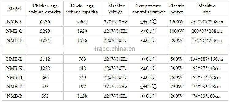 Good quality!!! pigeon eggs for hatching
