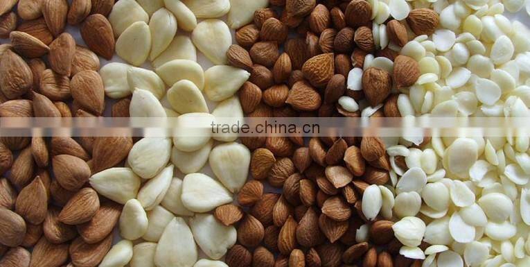 Best Price Apricot Seed Milk Powder / Manufacturer China Almond Powder Bulk sale
