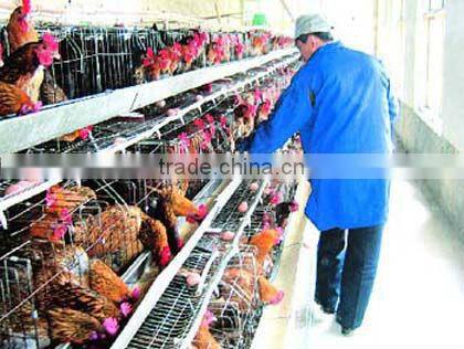 CE approval chicken/pig/rabbit feed production line//0086-15838061756