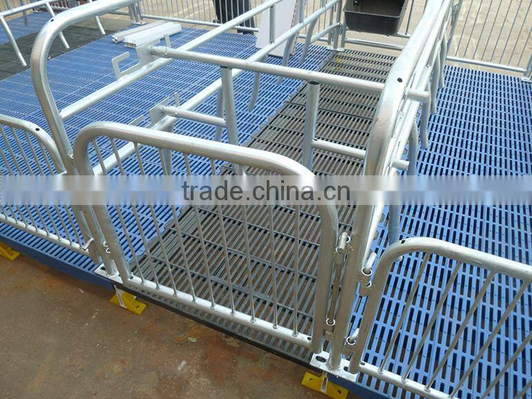 Quality Maternity Stall