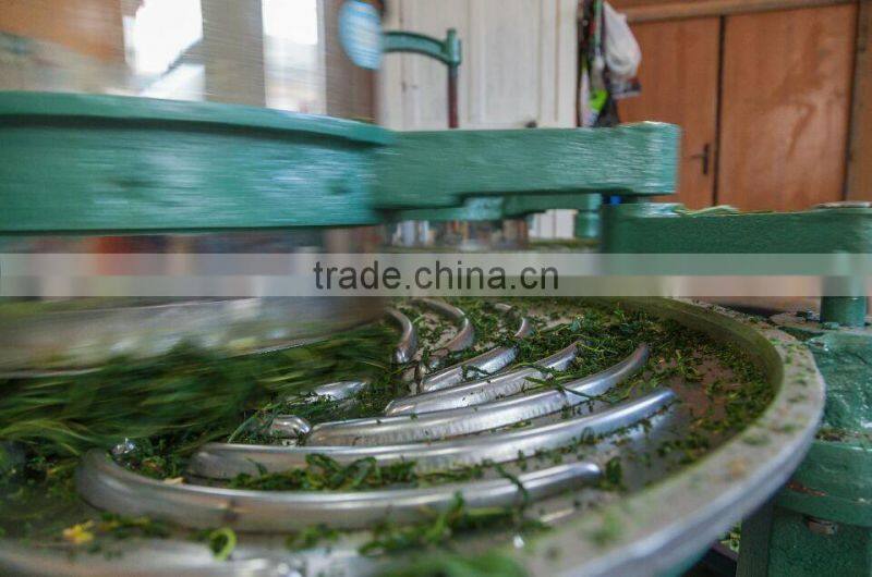 Original DELI tea roller,black tea leaf rolling machine