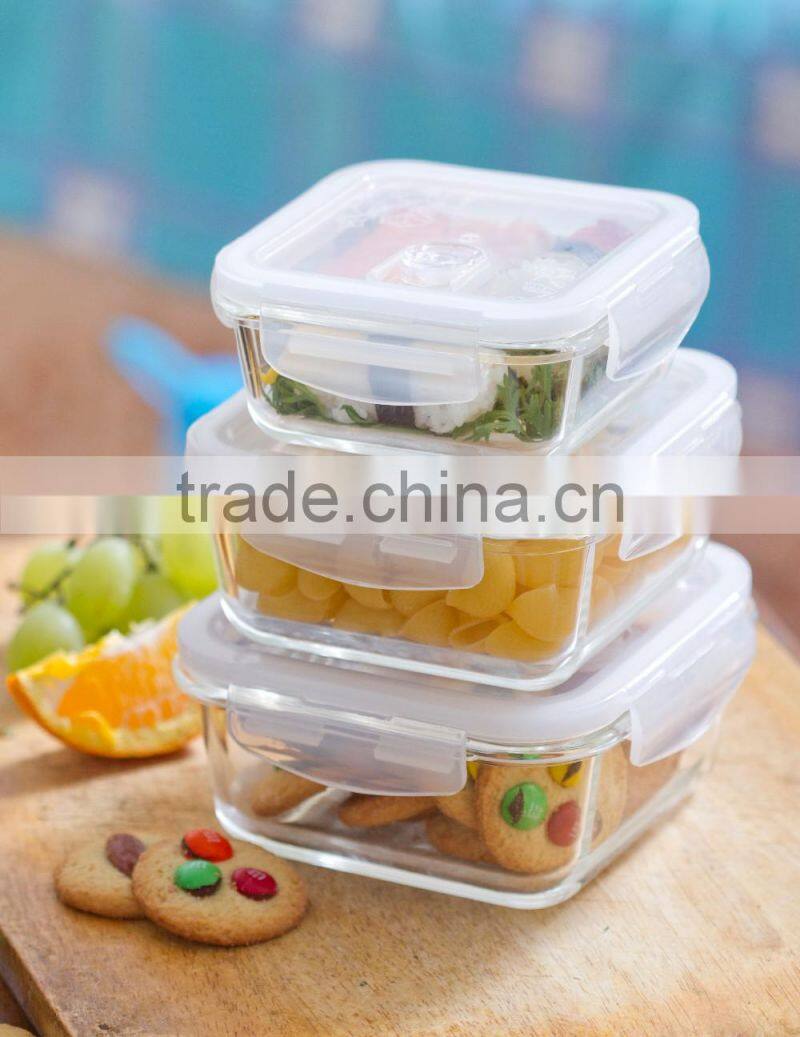 Square Airtight Locked Glass Storage Box