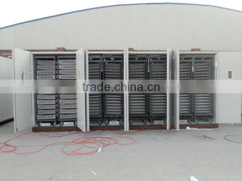 Good Quality & Price hatching chiken eggs