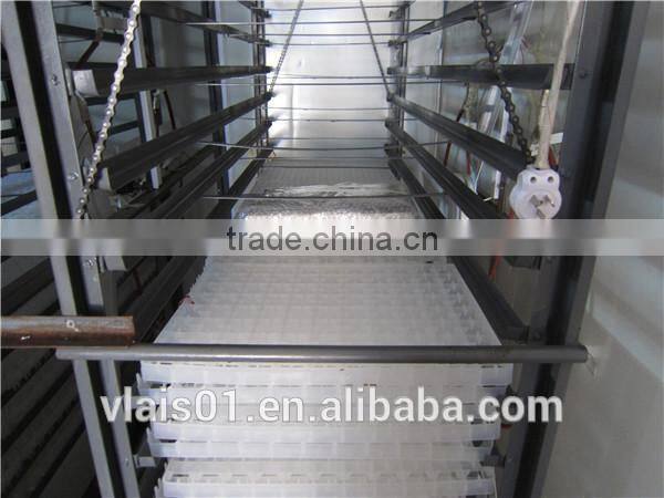Professional digital chicken egg incubator hatcher Factory supply 8448pcs automatic egg incubator