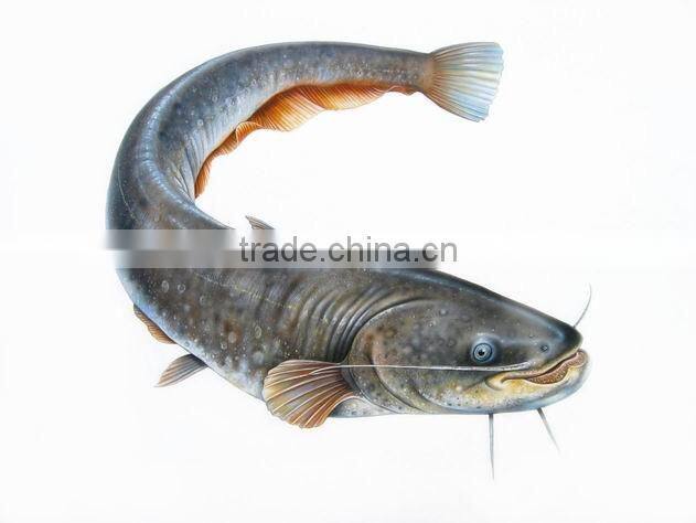 New condition Single Screw Fish Feed Extruder/Floating Fish Feed Pelletizer/Wet Type Fish Feed Extruder