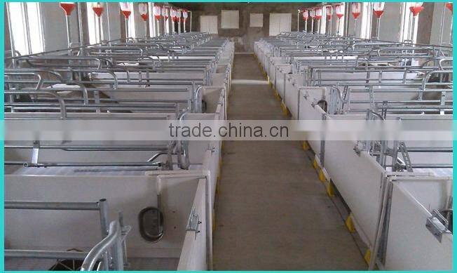 Sow obstetric table/equipment for pig/pig