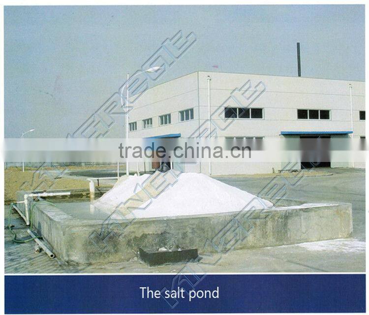 5-100T/h various capacity popular mineral and sea salt refining plant