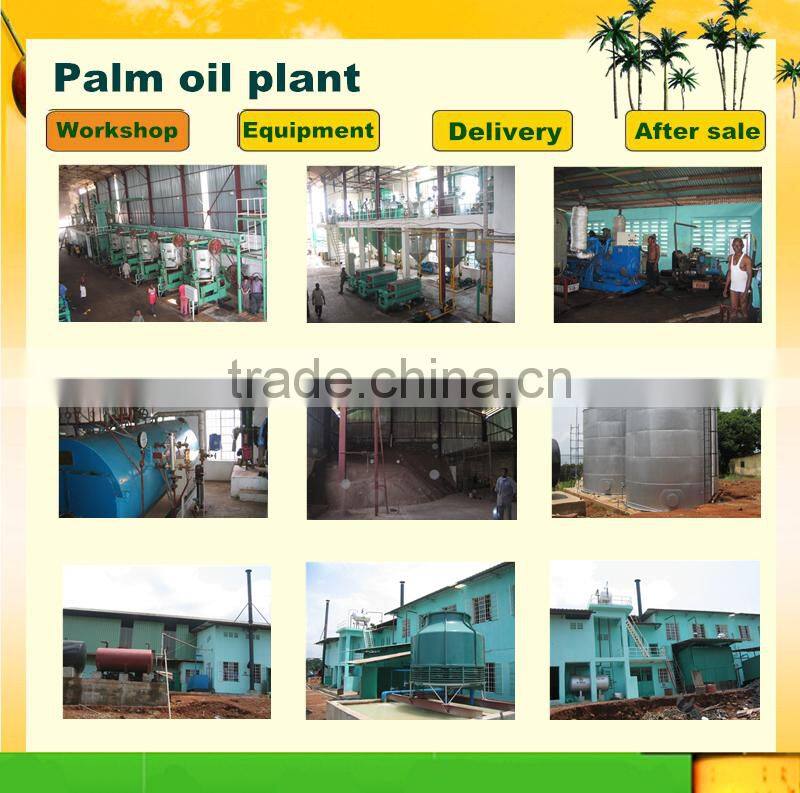 Easy Operation Automatic Palm Oil Processing Machine Palm Kernel Oil Press Machine