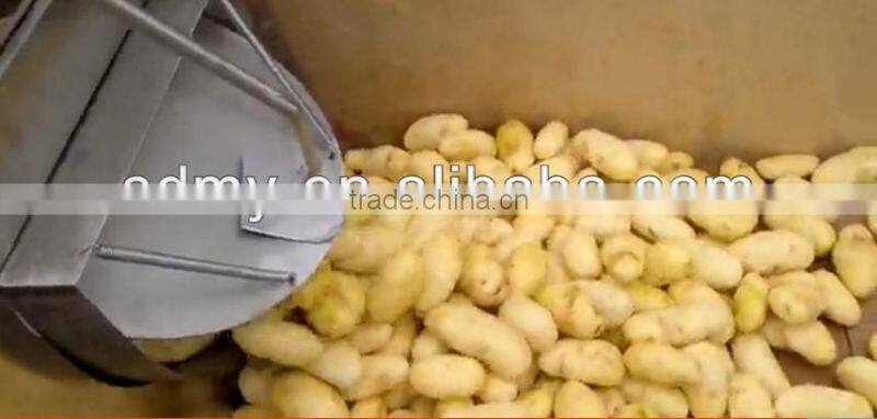 China professional factory manufacture xcj potato peeling machine with function of peeling and washing