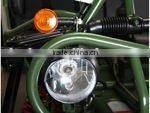 popular eec 150cc/250cc buggy