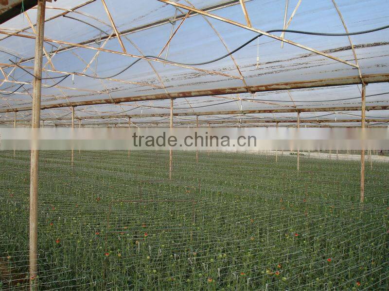 Good strength blow moulding Agricultural Greenhouse 3 Layer film UV protection