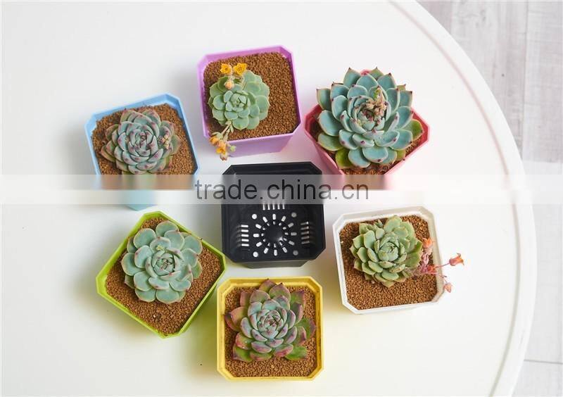 Thicken Colorful Square Plastic Plant Pot for Decoration of Home Office Desk Garden Flower Shop