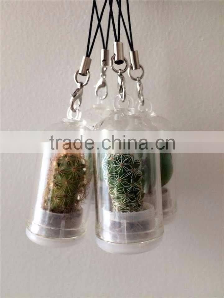 Wholesale Factory Cheap Glass Potted Meaty Cactus Plant Keychain, Super Mini Personal Gift Decorative Keychain Plant Design