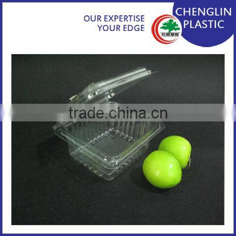 disposable transparent fruit tray design