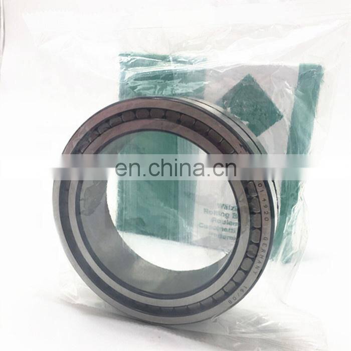 Double Row Full Complement Cylindrical Roller Bearing SL18 5013 SL185013