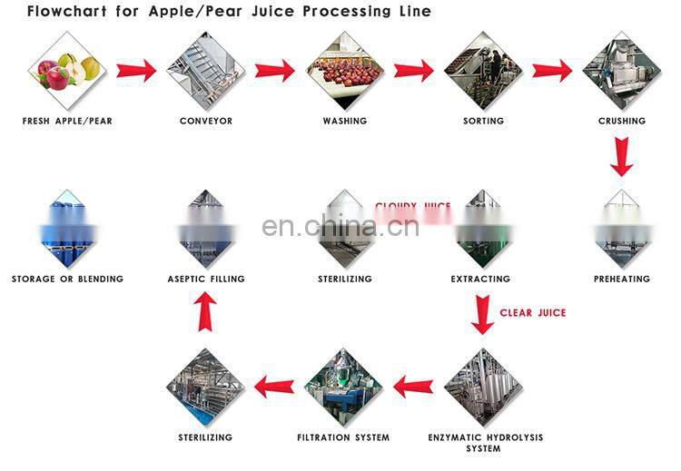 Commercial apple pear fruit juicer production line processing machine