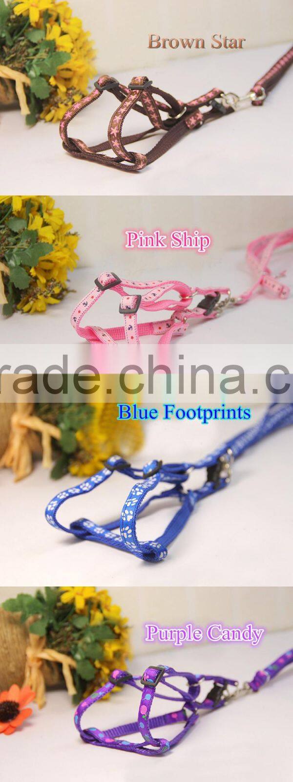 Fashion design dog leash dog collar pet products kinds of colors