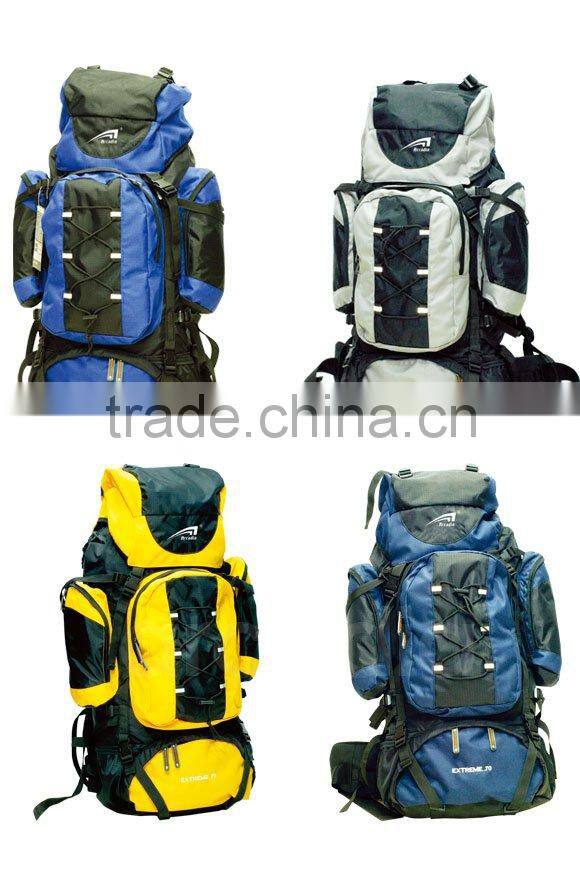 travel backpack/backpack bags