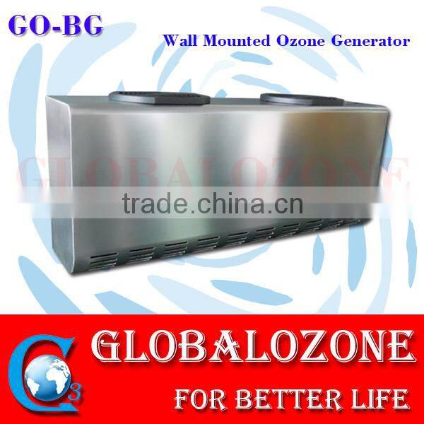 Wall mounted ozone generator cabinet for space disinfection