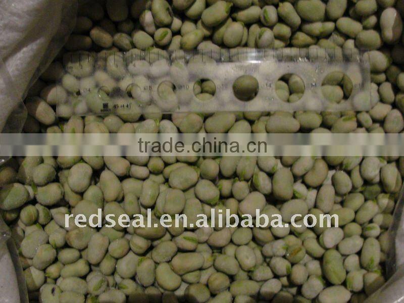 IQF fava beans or broad beans