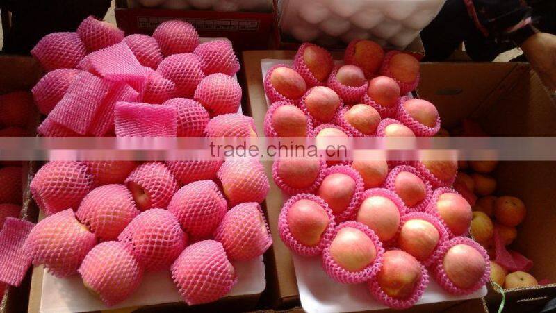 apple planter chinese apple fuji apple carton 20kg