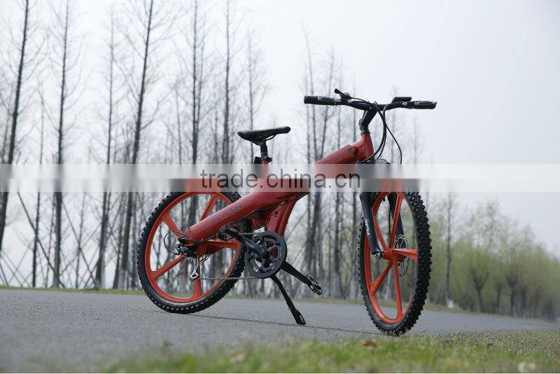 Seagull -China factory unique design EN14764 Bicycle chopper e-bike