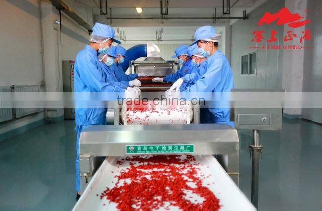 Organic Dried Goji Berry 380grains/50g