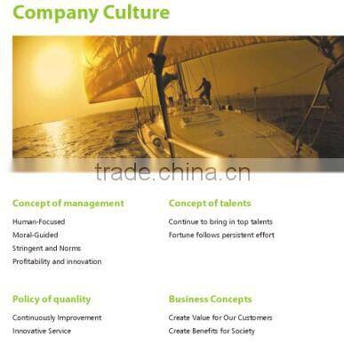 Swivel Caster with PP wheels