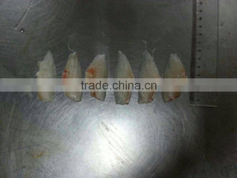 frozen leather jacket fish