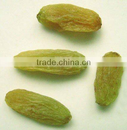 California raisins,green raisin, sultana raisins