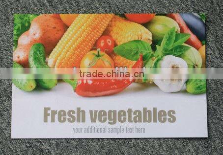 Medium UV Printer,outdoors signage/billboard Print,NC-UV1015/Impresora digital UV por rotulos/ vallas/decoracion/senalizacion