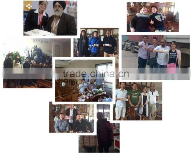 Philicam carbon steel metal fiber laser cutting machine price