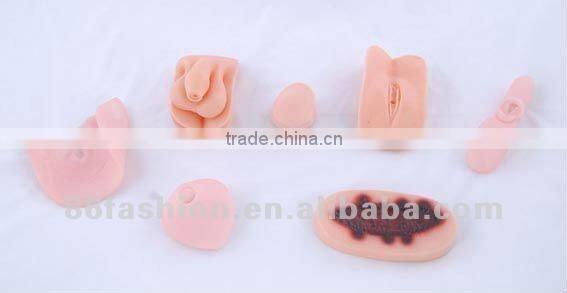 anatomical models,train model,skeleton model,manikin