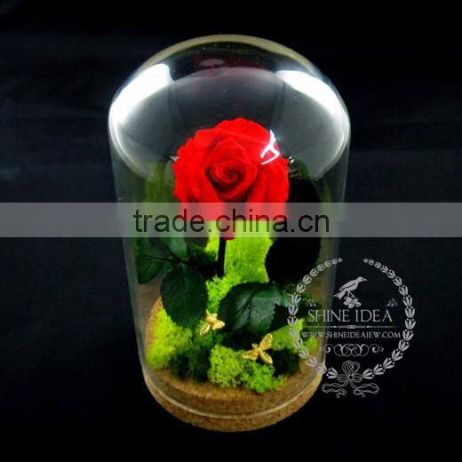10x18cm The Little Prince red rose dry preserved flower glass dome home decoration table centerpiece indoor gardening 0120001