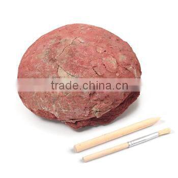 Dino Egg Dig Kits Dinosaur Baby Model