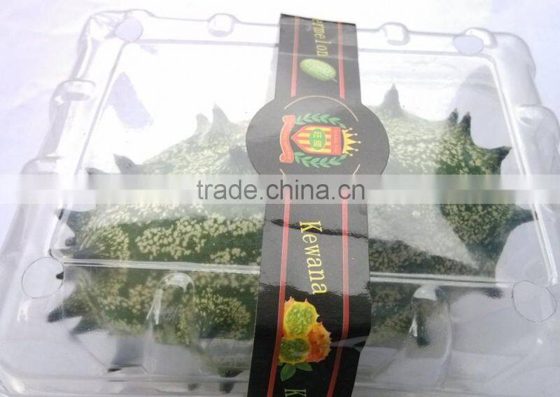 Kewana seeds Jelly Melon Seeds The horned Melon For Growing