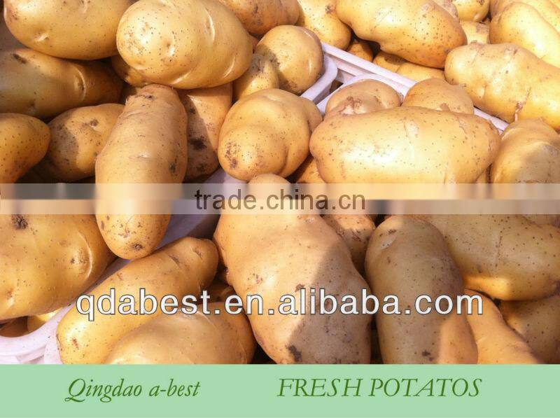 2014 new crops fresh potatos