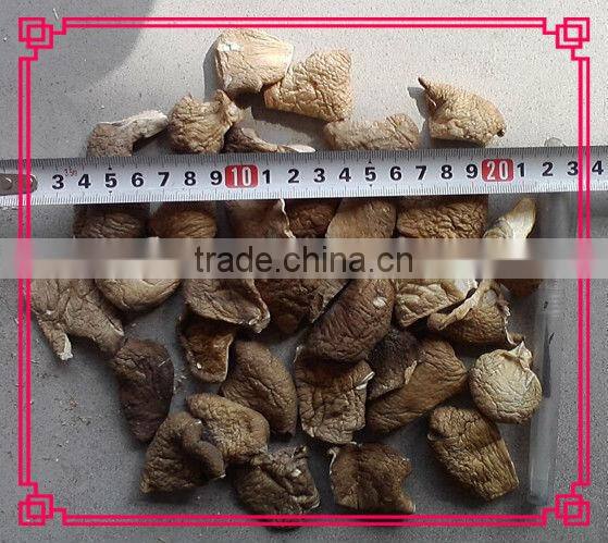 Dried pleurotus ostreatus