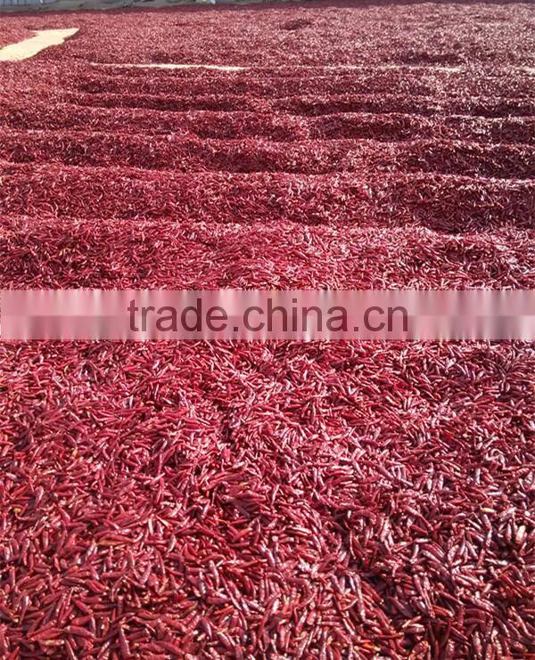 Chilli manufactures halal best price big slice red crushed chilli