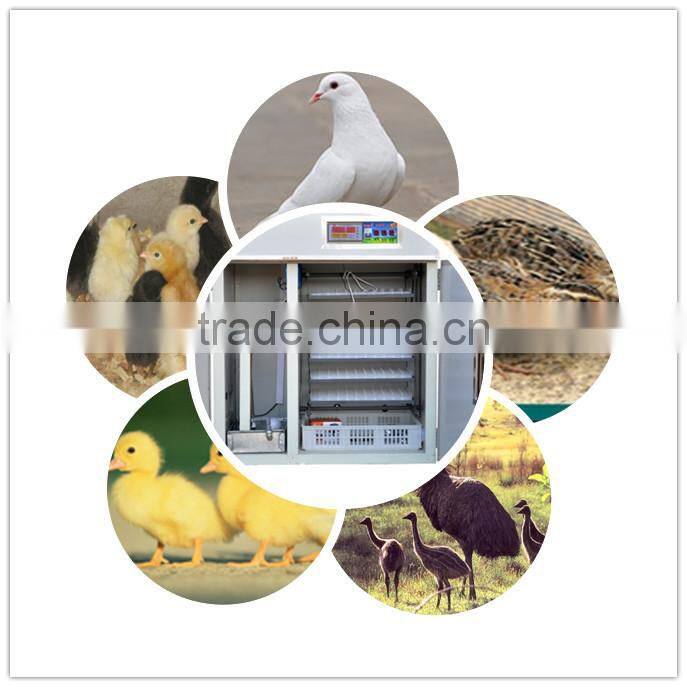 XSA-5 528pcs advanced electronic ful-Automatic egg incubator specially used for pigeon eggs